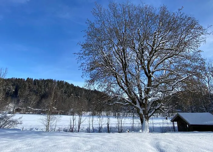 Pure Nature Munich - Alps